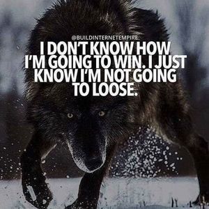 Meet your Posher, Joe